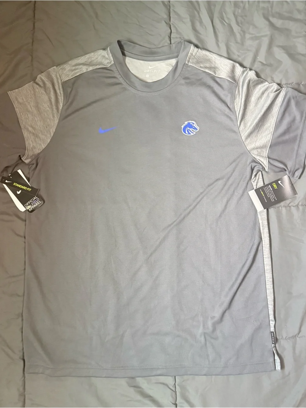 Nike Men’s Gray Short-Sleeve Dri-FIT Shirt with Blue Logo